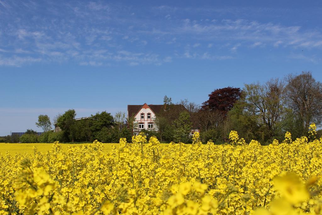 Hof Osterholz Apartment Loit Bagian luar foto